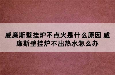 威廉斯壁挂炉不点火是什么原因 威廉斯壁挂炉不出热水怎么办